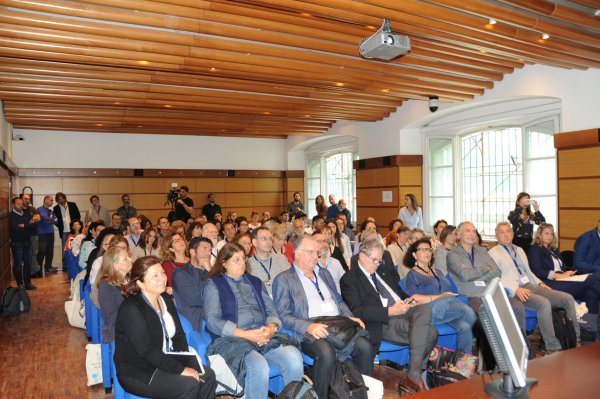 The Audience
